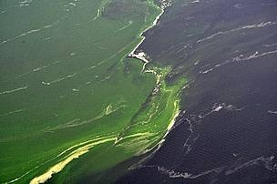 Młodzi wynalazcy i projekt wykorzystania dronów do wykrywania sinic - GospodarkaMorska.pl