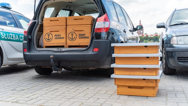 Ule w Porcie Gdańsk. Pierwsze pasieki już na dachu terminala [WIDEO, ZDJĘCIA]-GospodarkaMorska.pl