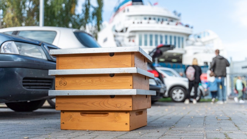 Ule w Porcie Gdańsk. Pierwsze pasieki już na dachu terminala [WIDEO, ZDJĘCIA]-GospodarkaMorska.pl