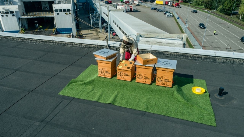 Ule w Porcie Gdańsk. Pierwsze pasieki już na dachu terminala [WIDEO, ZDJĘCIA]-GospodarkaMorska.pl