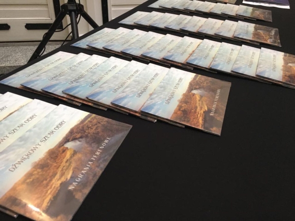 Średniowieczny miecz lub silnik Boeinga B-17. Te zabytki już w szczecińskim muzeum-GospodarkaMorska.pl