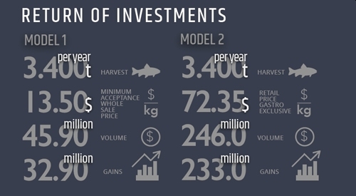 Żaglowcem na ryby. Żaglowce rybackie uzupełnią handlowe. Rynek dla polskich inżynierów i stoczni -GospodarkaMorska.pl