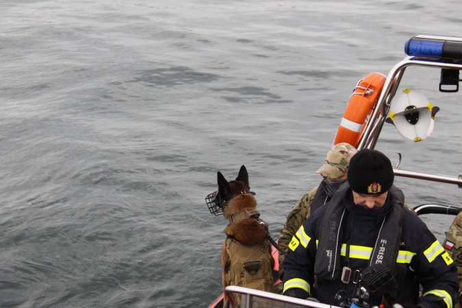 „Cerber”: w Porcie Gdynia ćwiczyły psy służbowe [WIDEO, ZDJĘCIA]-GospodarkaMorska.pl