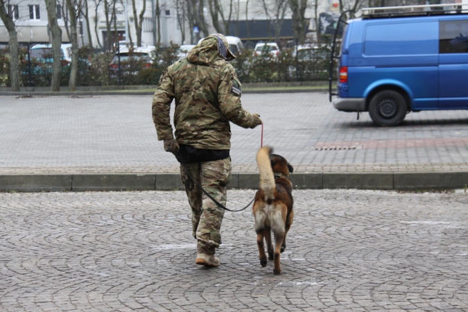 „Cerber”: w Porcie Gdynia ćwiczyły psy służbowe [WIDEO, ZDJĘCIA]-GospodarkaMorska.pl