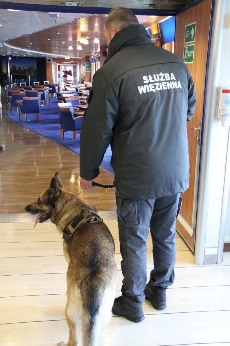 „Cerber”: w Porcie Gdynia ćwiczyły psy służbowe [WIDEO, ZDJĘCIA]-GospodarkaMorska.pl