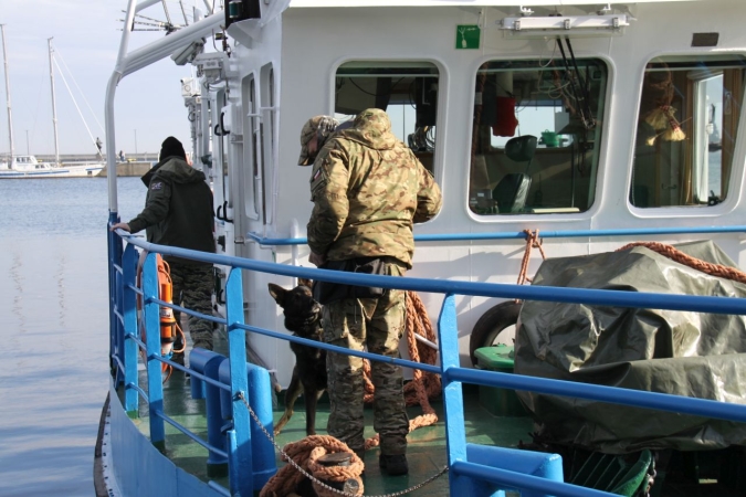 „Cerber”: w Porcie Gdynia ćwiczyły psy służbowe [WIDEO, ZDJĘCIA]-GospodarkaMorska.pl