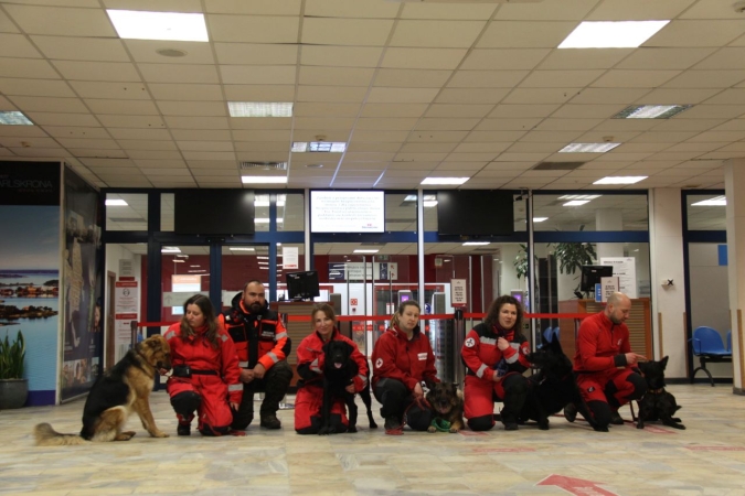 „Cerber”: w Porcie Gdynia ćwiczyły psy służbowe [WIDEO, ZDJĘCIA]-GospodarkaMorska.pl