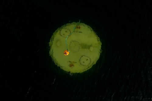 Nowa era dostaw energii – udane próby konwertera Waveswing [WIDEO]-GospodarkaMorska.pl