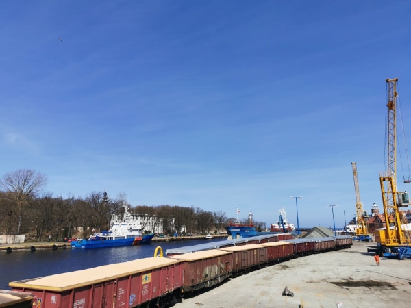 Pilotażowy przeładunek ziarna kukurydzy z Ukrainy w Porcie Kołobrzeg. Na początek 5 tys. ton [WIDEO]-GospodarkaMorska.pl