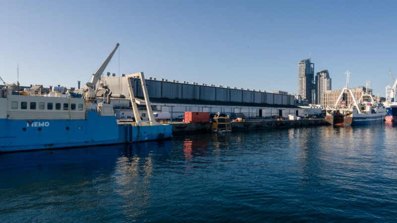 MFW Bałtyk I – trwają badania na obszarze farmy wiatrowej [WIDEO] -GospodarkaMorska.pl