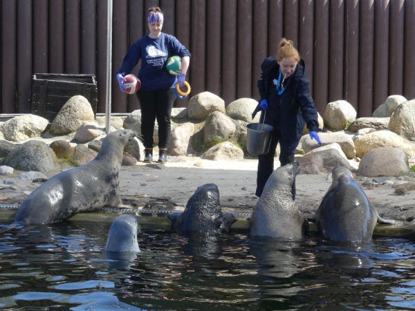 Oceanograf UG. Jaką rolę może pełnić w rozwoju polskiego offshore? [WIDEO]-GospodarkaMorska.pl