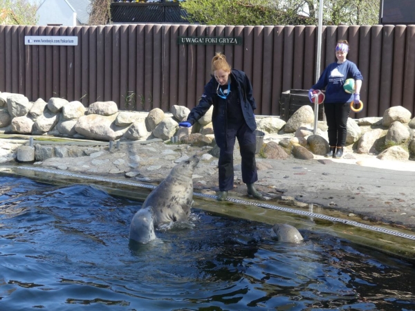Oceanograf UG. Jaką rolę może pełnić w rozwoju polskiego offshore? [WIDEO]-GospodarkaMorska.pl