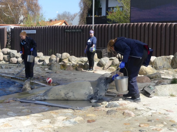 Oceanograf UG. Jaką rolę może pełnić w rozwoju polskiego offshore? [WIDEO]-GospodarkaMorska.pl