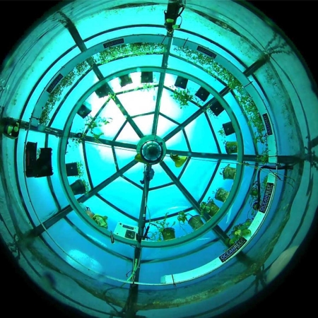 Farma na dnie oceanu. Przełomowa współpraca Nemo’s Garden i Siemensa [ZDJĘCIA]-GospodarkaMorska.pl