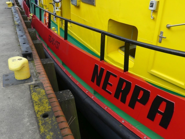 Projekt budowy lodołamaczy dla RZGW Gdańsk za blisko 80 mln zł podsumowany-GospodarkaMorska.pl