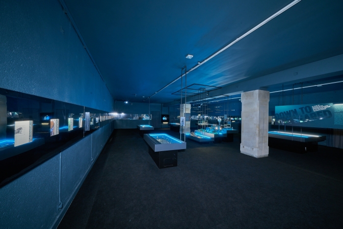 Tajemnice morskich głębin na wyciągnięcie ręki. Zbliża się finisaż wystawy „Do DNA…” w Narodowym Muzeum Morskim-GospodarkaMorska.pl