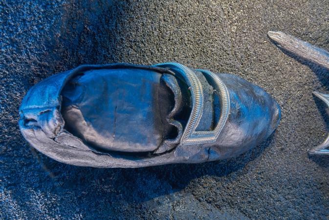 Tajemnice morskich głębin na wyciągnięcie ręki. Zbliża się finisaż wystawy „Do DNA…” w Narodowym Muzeum Morskim-GospodarkaMorska.pl