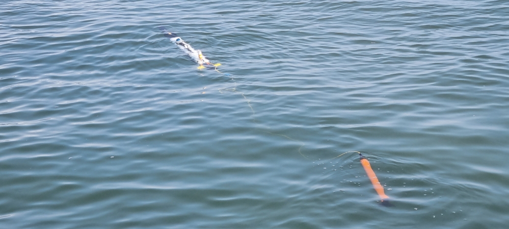 Ammotrace/Probannt na pokładzie s/y Oceania-GospodarkaMorska.pl