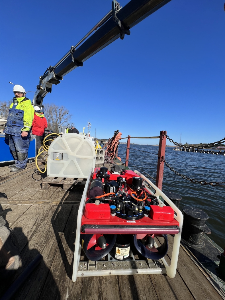 Profesea Sp. z o.o. Pełen profesjonalizm na morzu-GospodarkaMorska.pl