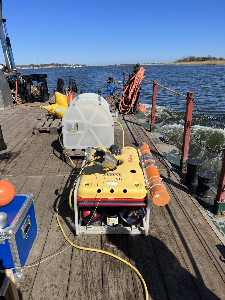 Profesea Sp. z o.o. Pełen profesjonalizm na morzu-GospodarkaMorska.pl