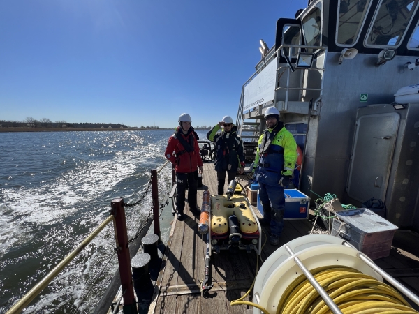 Profesea Sp. z o.o. Pełen profesjonalizm na morzu-GospodarkaMorska.pl