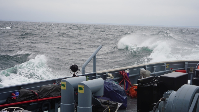 Ostre strzelanie podczas 