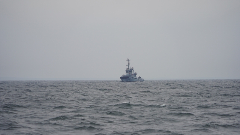 Ostre strzelanie podczas 