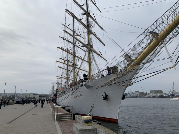 Nowy sezon dla Daru Młodzieży. Statek wypływa w kolejny rejs-GospodarkaMorska.pl