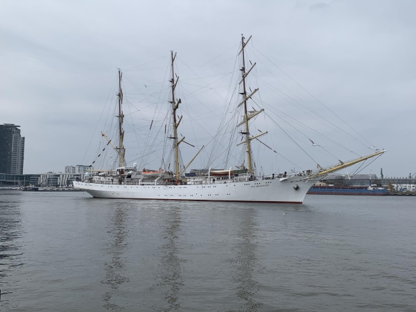 Nowy sezon dla Daru Młodzieży. Statek wypływa w kolejny rejs-GospodarkaMorska.pl