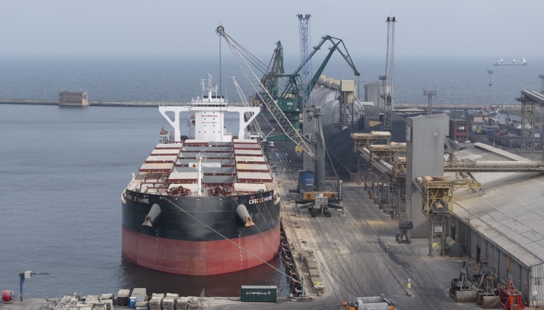 Kolos w Porcie Gdynia: rekordowy ładunek śruty sojowej w terminalu HES-GospodarkaMorska.pl