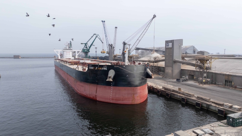 Kolos w Porcie Gdynia: rekordowy ładunek śruty sojowej w terminalu HES-GospodarkaMorska.pl