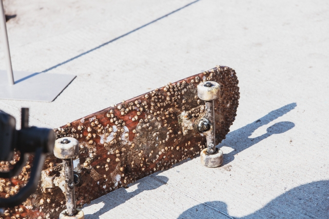 Nurkowie i wolontariusze w akcji sprzątania Bałtyku podczas World Cleanup Day-GospodarkaMorska.pl