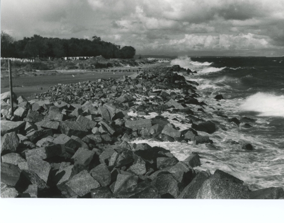 Jubileusz 50-lecia Portu Północnego w Gdańsku: Pół wieku kluczowych przemian i dynamicznego rozwoju-GospodarkaMorska.pl