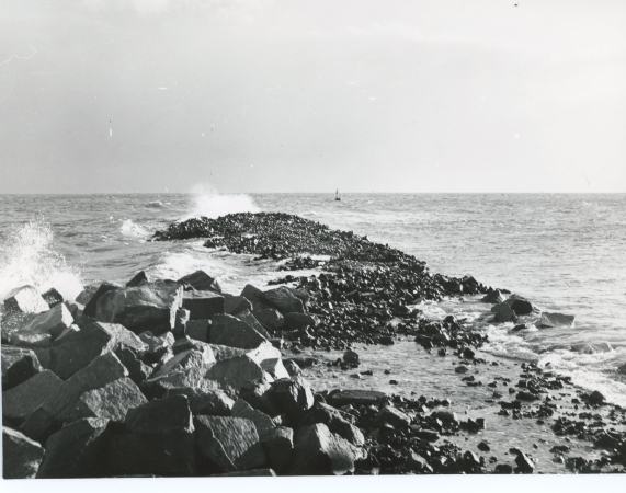 Jubileusz 50-lecia Portu Północnego w Gdańsku: Pół wieku kluczowych przemian i dynamicznego rozwoju-GospodarkaMorska.pl