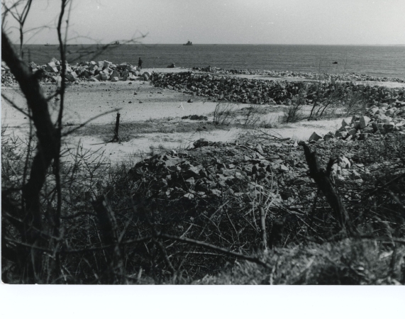 Jubileusz 50-lecia Portu Północnego w Gdańsku: Pół wieku kluczowych przemian i dynamicznego rozwoju-GospodarkaMorska.pl