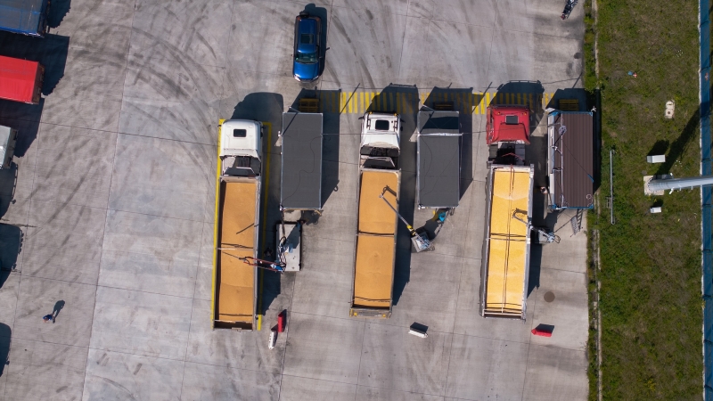 Hamilton ostrzega – uwaga na fumigowane zboże-GospodarkaMorska.pl