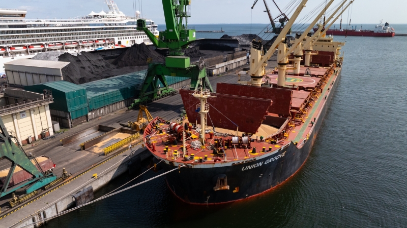 Hamilton ostrzega – uwaga na fumigowane zboże-GospodarkaMorska.pl