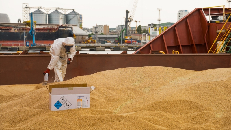 Hamilton ostrzega – uwaga na fumigowane zboże-GospodarkaMorska.pl