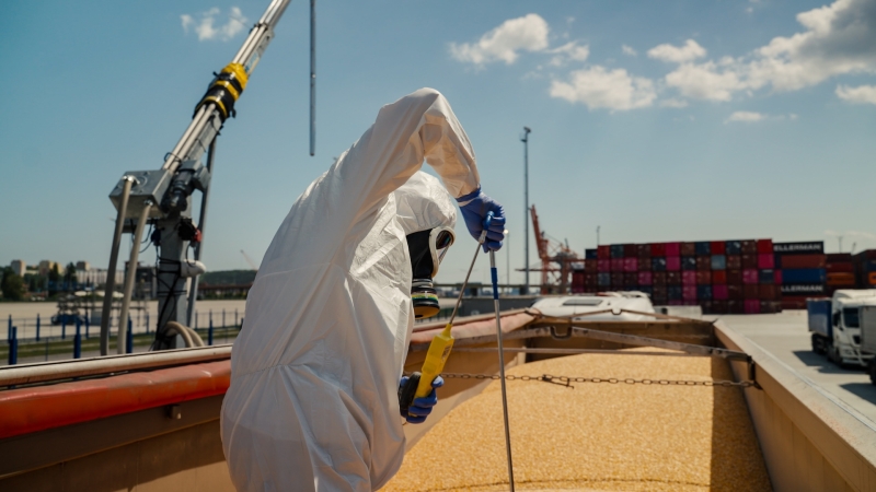 Hamilton ostrzega – uwaga na fumigowane zboże-GospodarkaMorska.pl