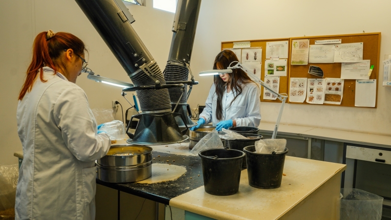 Hamilton ostrzega – uwaga na fumigowane zboże-GospodarkaMorska.pl