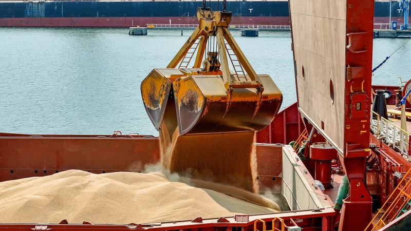 Hamilton ostrzega – uwaga na fumigowane zboże-GospodarkaMorska.pl