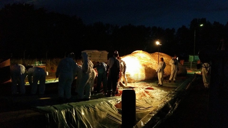 Zdjęcia z sekcji zwołok wieloryba.  Fot. prof. Krzysztof Skóra/Facebook Dom Morświna-GospodarkaMorska.pl