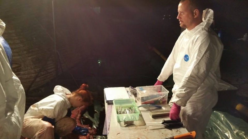 Zdjęcia z sekcji zwołok wieloryba.  Fot. prof. Krzysztof Skóra/Facebook Dom Morświna-GospodarkaMorska.pl