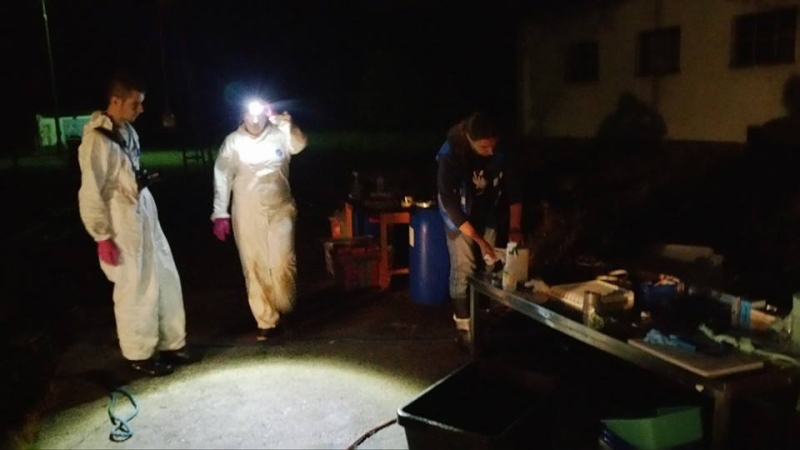 Zdjęcia z sekcji zwołok wieloryba.  Fot. prof. Krzysztof Skóra/Facebook Dom Morświna-GospodarkaMorska.pl