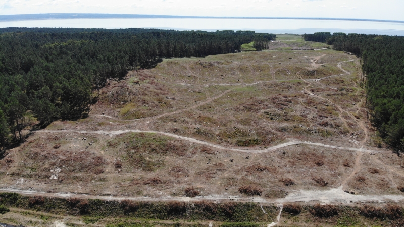 fot. GospodarkaMorska.pl-GospodarkaMorska.pl