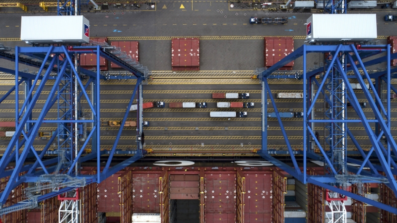 MSC Ambra po raz pierwszy w Porcie Gdańsk (foto, wideo)-GospodarkaMorska.pl