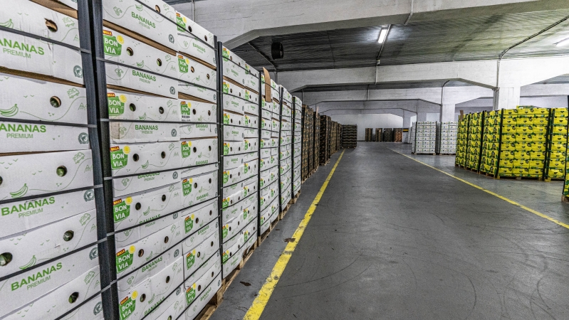 Bananowy serwis w Porcie Gdańsk (foto, wideo)-GospodarkaMorska.pl