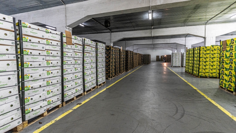 Bananowy serwis w Porcie Gdańsk (foto, wideo)-GospodarkaMorska.pl