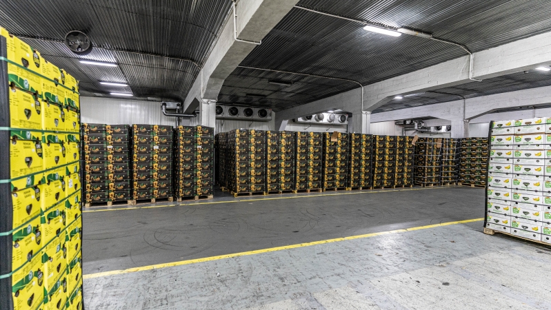 Bananowy serwis w Porcie Gdańsk (foto, wideo)-GospodarkaMorska.pl