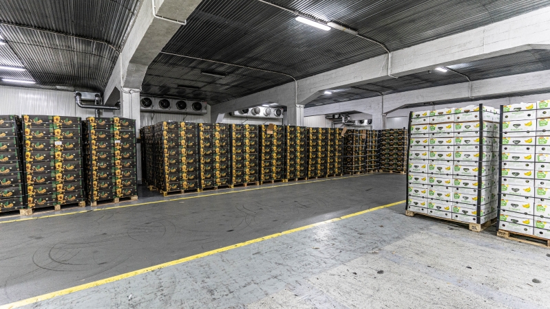 Bananowy serwis w Porcie Gdańsk (foto, wideo)-GospodarkaMorska.pl